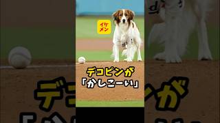 【大谷翔平】デコピンが「かしこーーい」🐶😍 #shorts #baseball #大谷翔平 #mlb