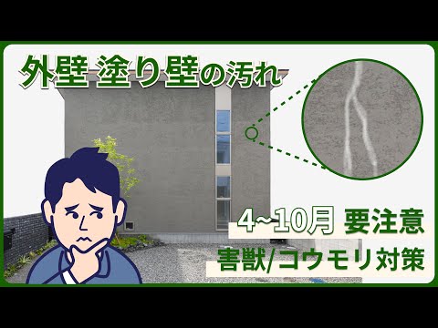 コウモリの糞・尿被害/外壁に害獣が来た場合/コウモリを回避する方法