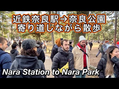 近鉄奈良駅から奈良公園まで歩く 鹿に喜ぶ外国人観光客 Nara Station to Nara Park with Deer