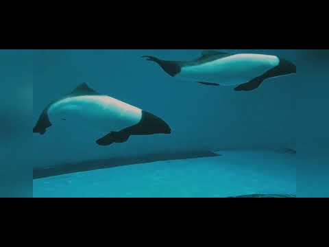 仙台うみの杜水族館へ、観光