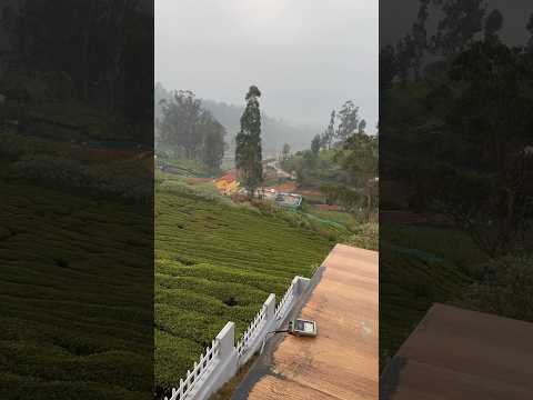 Ooty Resort #ootyhillstation #ootytravel #monsoon #ootytrip #travel