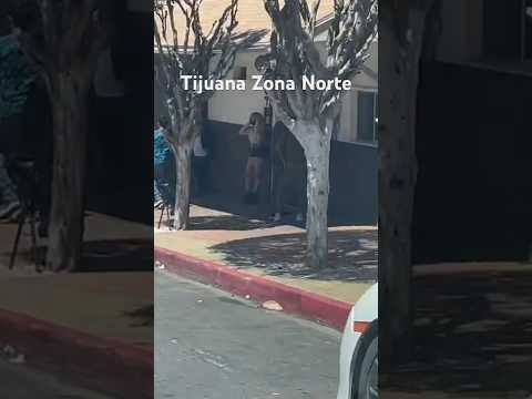 Tijuana Zona Norte