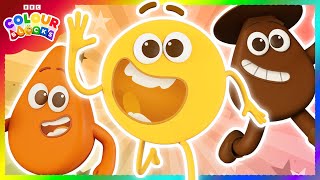 Ultimate Autumn Colours Compilation | 🍂🍁 Colourblocks Seasonal Special