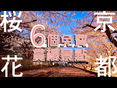 【大和セン風＃2】京都4日3夜 | Cherry blossoms in Kyoto Japan 2023 | 哲學之道 | 蹴上傾斜鐵道 | 円山公園 | 祇園 | 高瀨川 | 清水寺 | 4K