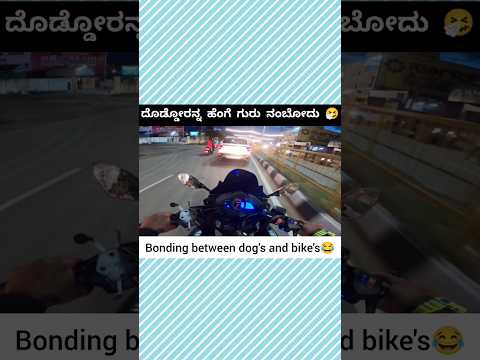 ನಿಜ ಅಲ್ವಾ 😂 #bikes #dogs #bikelover #riding #funnyvideo #kannadavlogger #memes #comedy