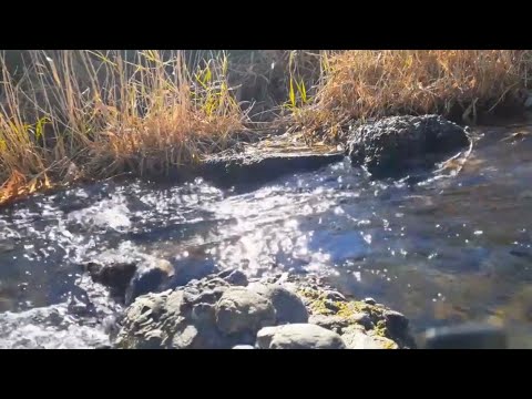 【6h】Relaxing River Sounds in Rural Japan | Calming Nature Sounds for Stress Relief and Sleep