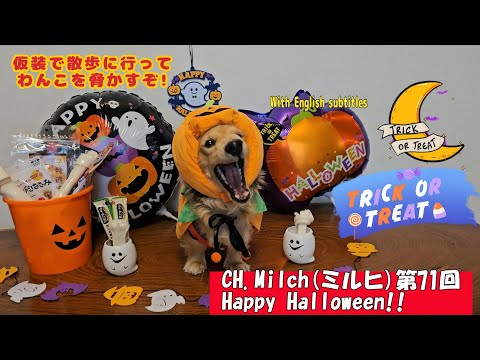 第71回Happy Halloween