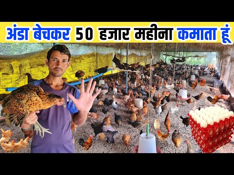 गांव हो या शहर - कैसे छोटे जमीन में सोनाली मुर्गी पालन से लाखों कमा रहे हैं लोग | Poultry farming