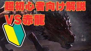 【MHWIB】今更聞けないムフェト・ジーヴァの基礎基本を解説！