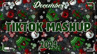 TikTok Mashup December 🎄2024🎄 (Not Clean