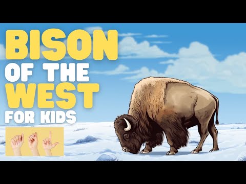 ASL Bison of the West