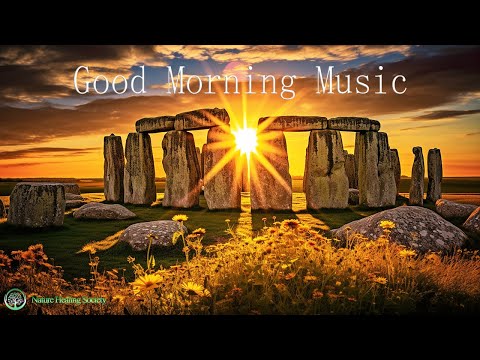 POWERFUL Morning Music For Pure Clean Positive Energy & Stress Relief 528Hz