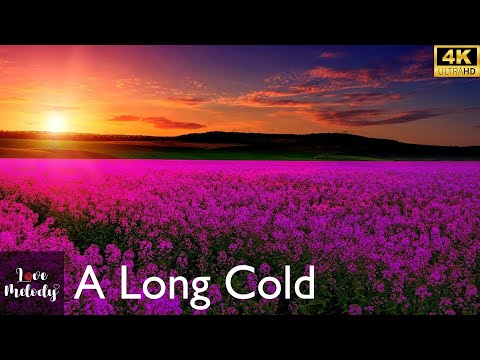 A Long Cold, Riot (Audio)