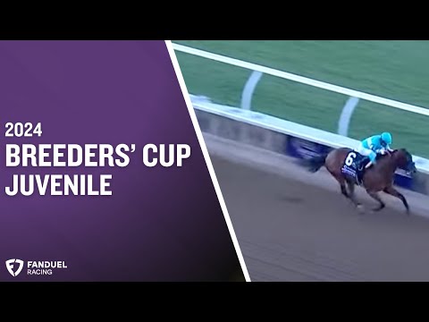 $2 million FanDuel Breeders’ Cup Juvenile (G1) at Del Mar 2024