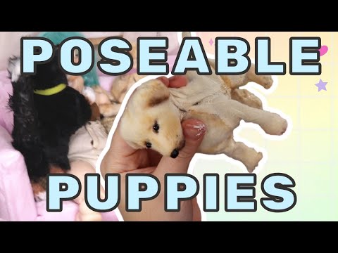 DIY Poseable Art Dog Dolls Pets for BJDs