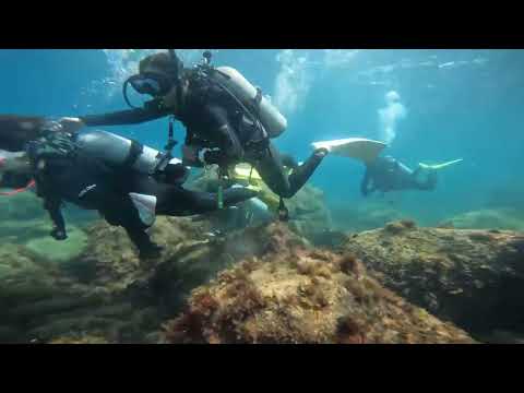 【ダイビング】体験ダイブin初島