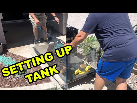 Tank Setup Day (180.5 Waterbox)