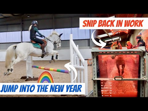 Jumping Into The New Year | Weekly Vlog 1