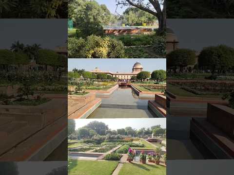 A Visit to Rasthrapati Bhawan - Udyan Utsav 2023 #vlog #youtubeshorts #rashtrapatibhawan #amritudyan