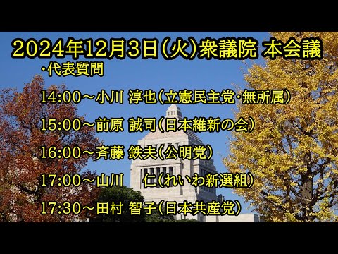 【国会中継録画】 衆議院 代表質問（2024/12/03）