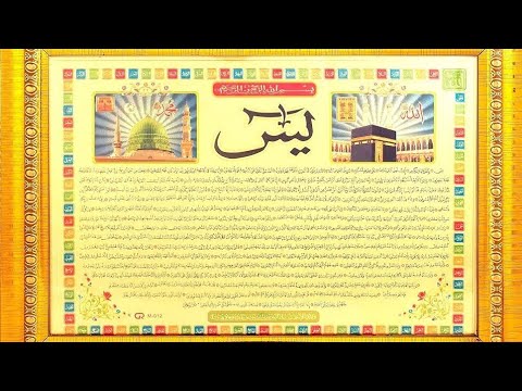 surah yaseen shareef ki tilawat urdu Tarjume ke sath#islamicreminders #islamicquotes #islamicpost