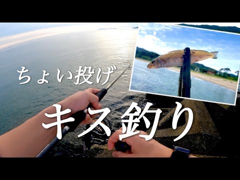 【ちょい投げ釣り】キス釣りとぶっ込み釣りやってみた！