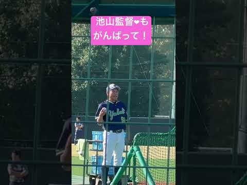 池山隆寛二軍監督も練習全力！ヤクルトスワローズ秋季練習最終日