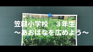 笠縫小学校３年生「あおばなを広めよう」（スクールＥＳＤ動画）