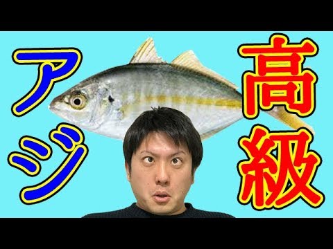 【魚図鑑 シマアジ】磯？堤防？ ポイントはルアー！しまあじの釣り方・仕掛け・食べ方がわかる！