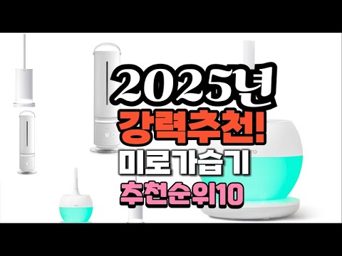 2025년 가장많이 팔릴 미로가습기  추천 베스트10