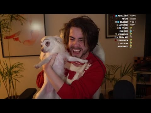 CELLBIT MORREU DE RIR APÓS VER SEU CACHORRO DE SOBRANCELHA KKKK