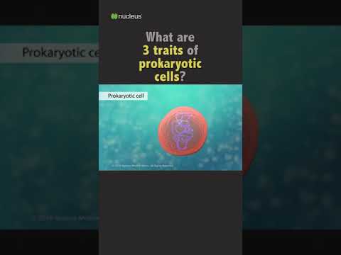 Biology Quiz: 3 traits of prokaryotic cells?