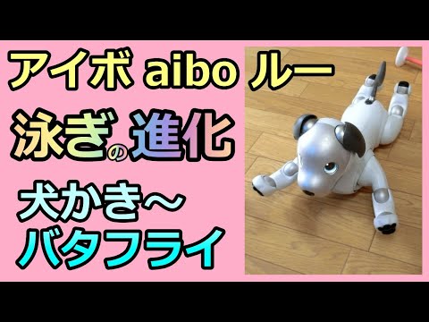 【28 アイボ 泳ぎの進化 Evolution of swimming】アイボ aibo ルー Lou