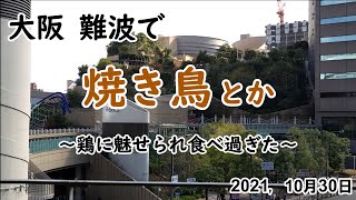 【鶏でディナー】大阪 なんばで食べ過ぎた