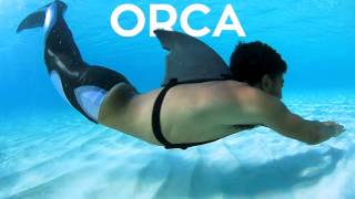 Orca Limited Edition Tail | Fin Fun Mermaid Tails