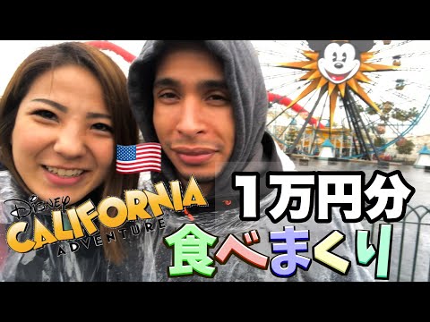 【カリフォルニアディズニー】※「美味しい」しか言ってない動画。国際結婚 | アメリカ生活