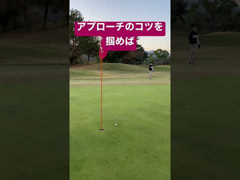 アプローチ得意になります！気ままにVGOLFライフへどうぞ。初心者必見。100切りゴルフ。#shorts