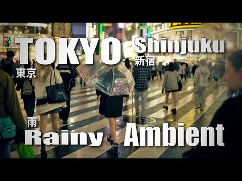 雨の新宿 / Rainy Night walk in Shinjuku, Tokyo, Japan, Ambient ( November 2, 2024 )