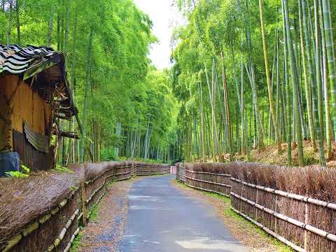 青江三奈　京都慕情