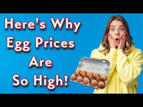 Why Eggs Prices Are So High