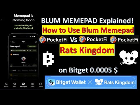 Blum MEMEPAD Guide: Using Memepad vs. PocketFi + Next Big Project ‘Rats Kingdom’ on Bitget!