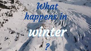 What happens in winter?