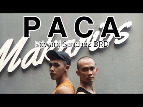 PACA - Edward Sanchez DRD | COREOGRAFIA OFFICIAL | OFFICIAL CHOREOGRAPHY | ZUMBA DANCE FITNESS