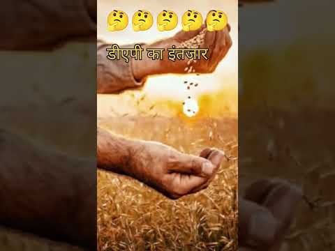 डीएपी खाद मिलना हुआ मुश्किल #agriculture #धान #trending #वायरल video #shorts video #नैनो डीएपी #