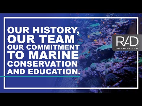 REEF AQUARIA DESIGN HISTORY. OUR TEAM AND OUR COMMITMENT WITH MARINE CONSERVATION AND EDUCATION.