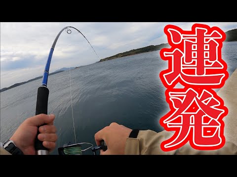 離島の沖堤防で20時間釣りして最後10分間だけがもの凄いことに・・・。