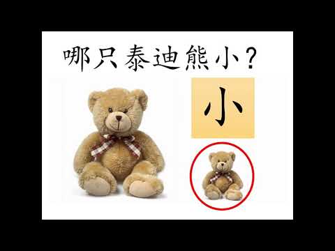 学前教育班Preschool 幼儿园 Prasekolah| 学习中文 Learning Chinese | 科学 Science | Comparison 物体的大和小 | 大小