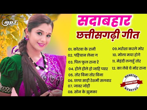 cg song new || chhattisgarhi song video || सदाबहार छत्तीसगढ़ी गीत || #2024 #onlymusiccg #nonstop