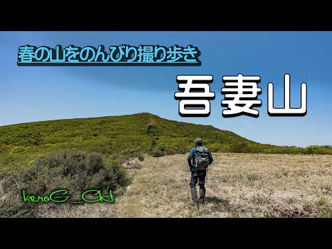 【吾妻山 Spring mountain flowers】春の山をのんびり撮り歩き