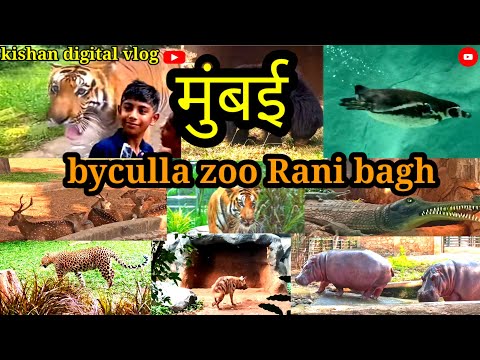 मुंबई।।Byculla zoo Mumbai। a to z complete Gaide Rani Baug।Rani Baug। Mumbai zoo